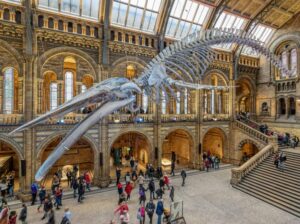 Natural History Museum
